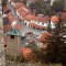 RUŽE ZA SMRDLJIVI GRAD