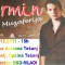 VELIKI KONCERT – Armin Muzaferija sa gostima